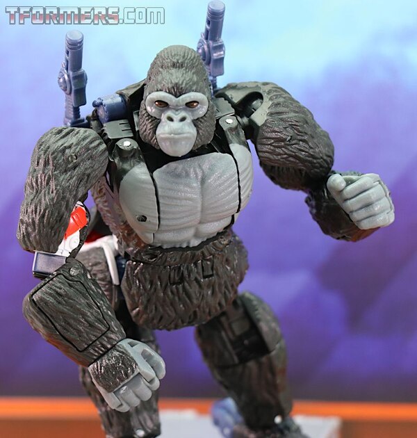 Transformers Kingdom Wave 1 Optimus Primal  (16 of 55)